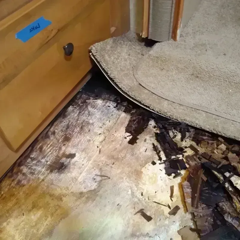 Wood Floor Water Damage in Tyler County, TX